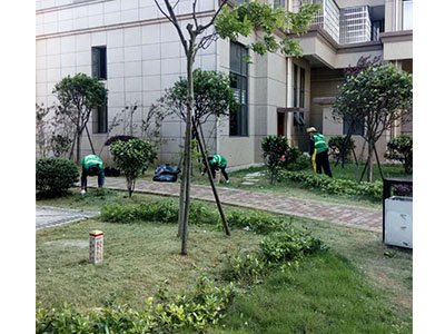 園林養護案例
