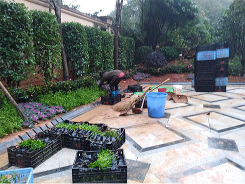 別墅園林施工 (4)