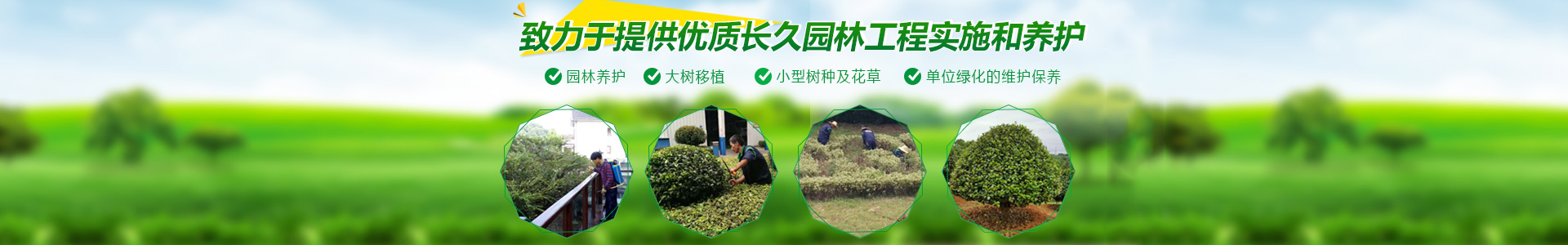 長(zhǎng)沙市亮宇園林綠化工程有限公司_長(zhǎng)沙園林養(yǎng)護(hù)|長(zhǎng)沙大樹移植|小型樹種及花草哪里的好