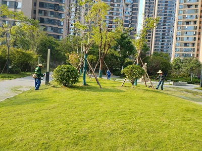 長沙市亮宇園林綠化工程有限公司,長沙園林養護,長沙大樹移植,小型樹種及花草哪里的好